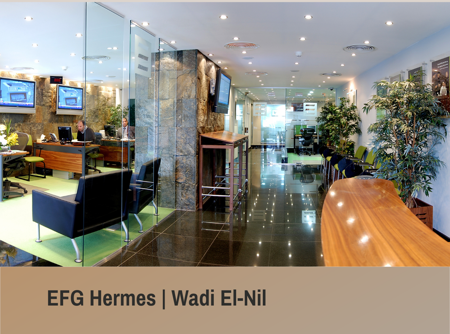 EFG Hermes - Wadi El-Nil